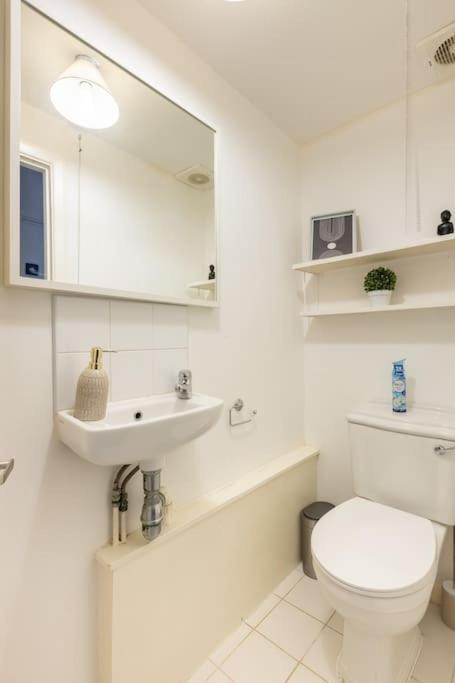 Lovely Garden Flat In Apartament Londra
